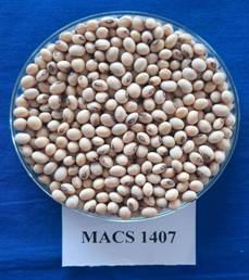 Seeds